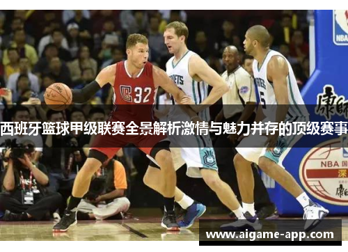 西班牙篮球甲级联赛全景解析激情与魅力并存的顶级赛事